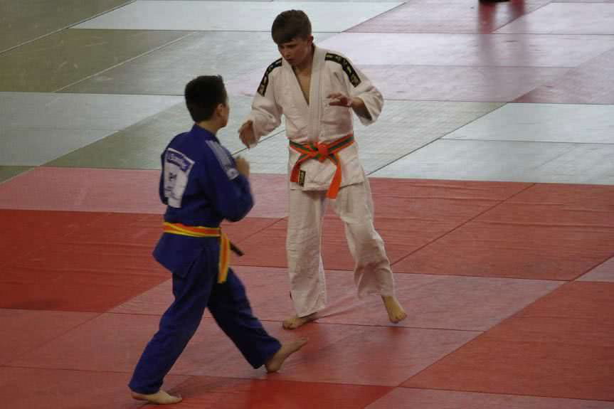 Medale judoków w Bytomiu