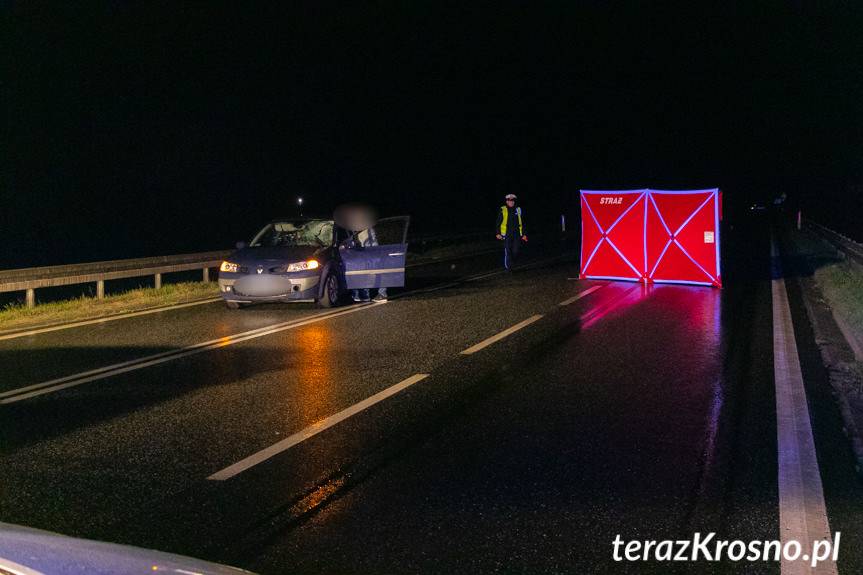 Śmiertelny wypadek w Warzycach, nie żyje pieszy
