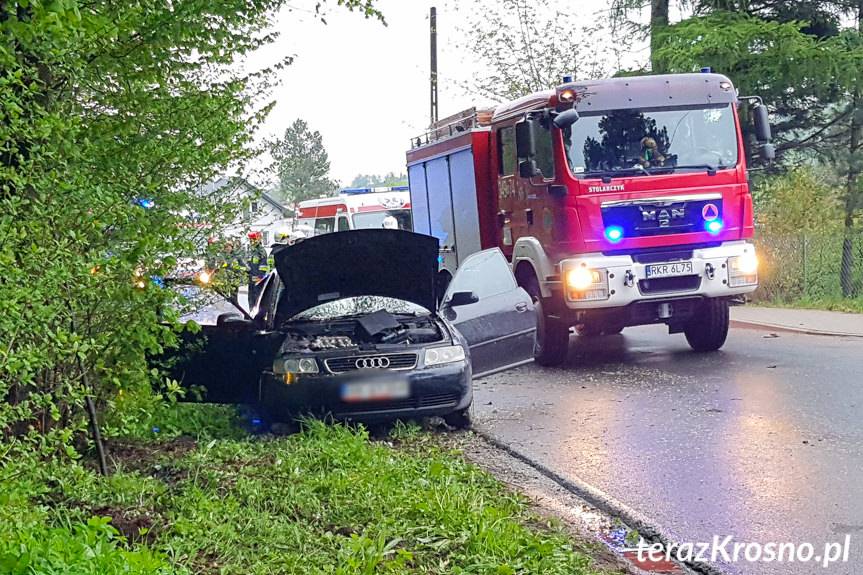 Wjechali audi w drzewo