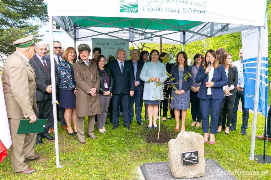 Jubileusz ARiMR. Posadzono pamiątkowy dąb