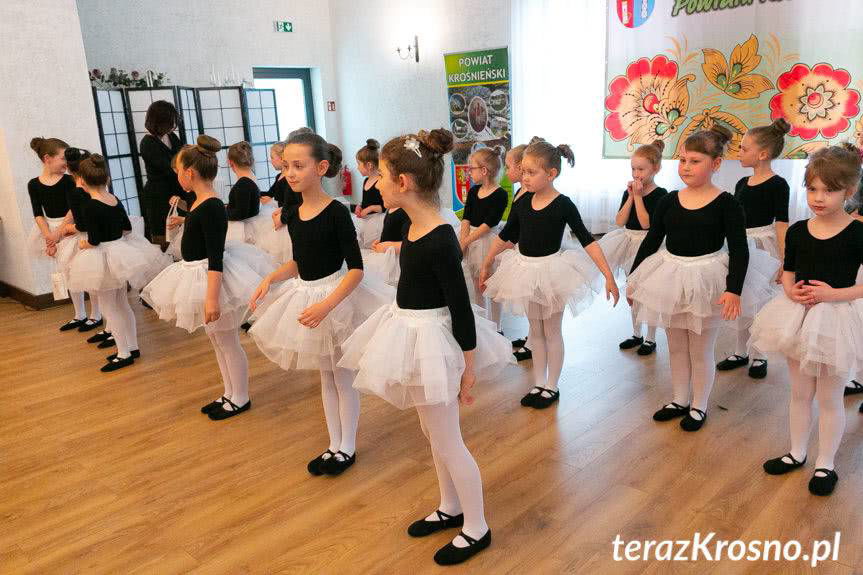 Powiatowy Dzień Działacza Kultury