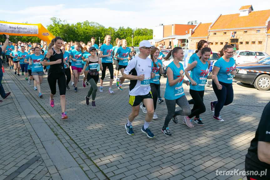 VII Bieg Sokoła 