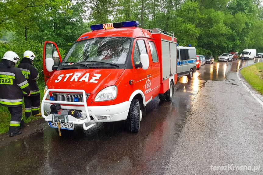 Dachowanie opla w Krasnej