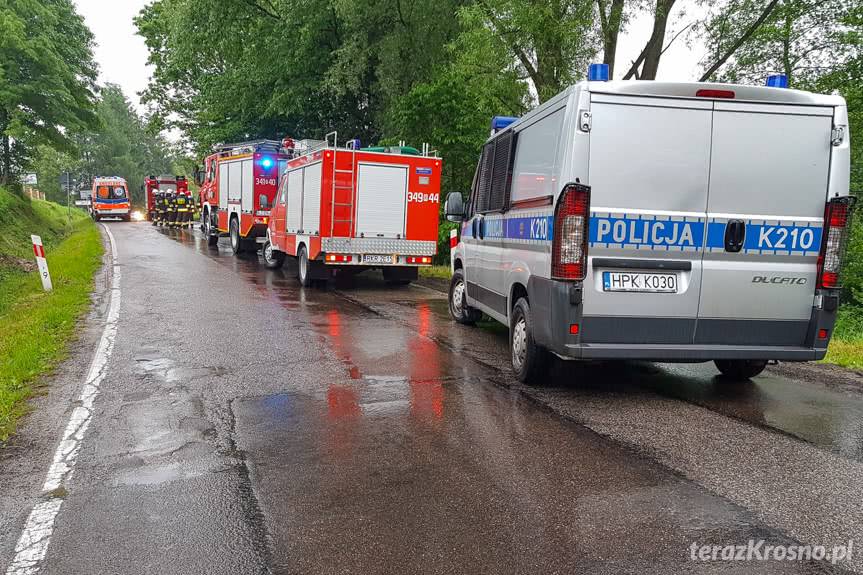 Dachowanie opla w Krasnej
