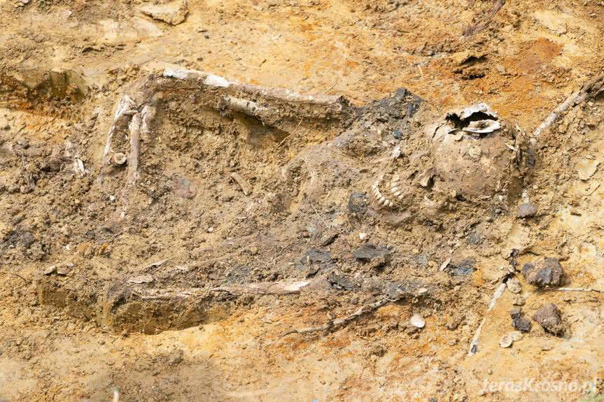 W Krościenku Wyżnym ekshumowano szczątki żołnierza pruskiego