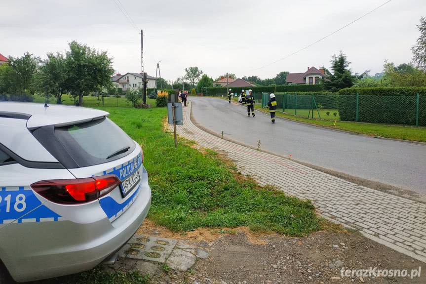 Uderzył w ogrodzenie i inny samochód