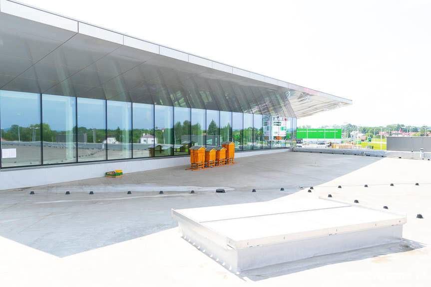 Na dachu VIVO! Krosno zamieszkały pszczoły