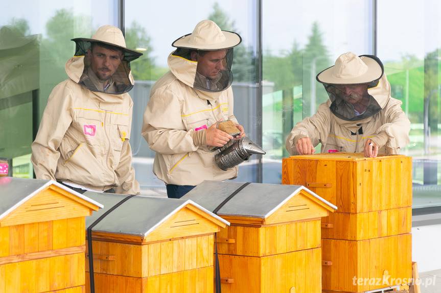 Na dachu VIVO! Krosno zamieszkały pszczoły