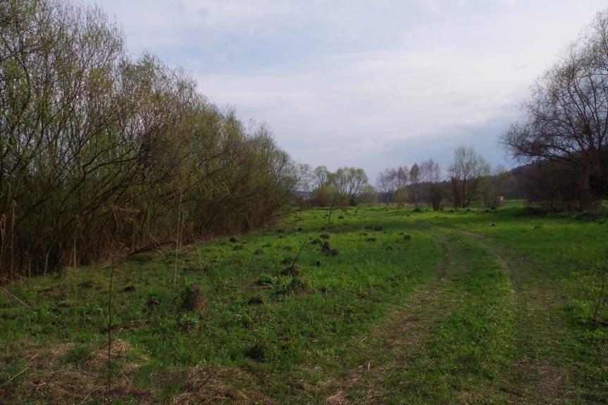 "Decydujesz, pomagamy". Zagłosuj na projekt z Jedlicza