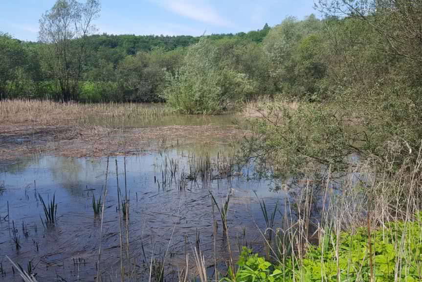 "Decydujesz, pomagamy". Zagłosuj na projekt z Jedlicza