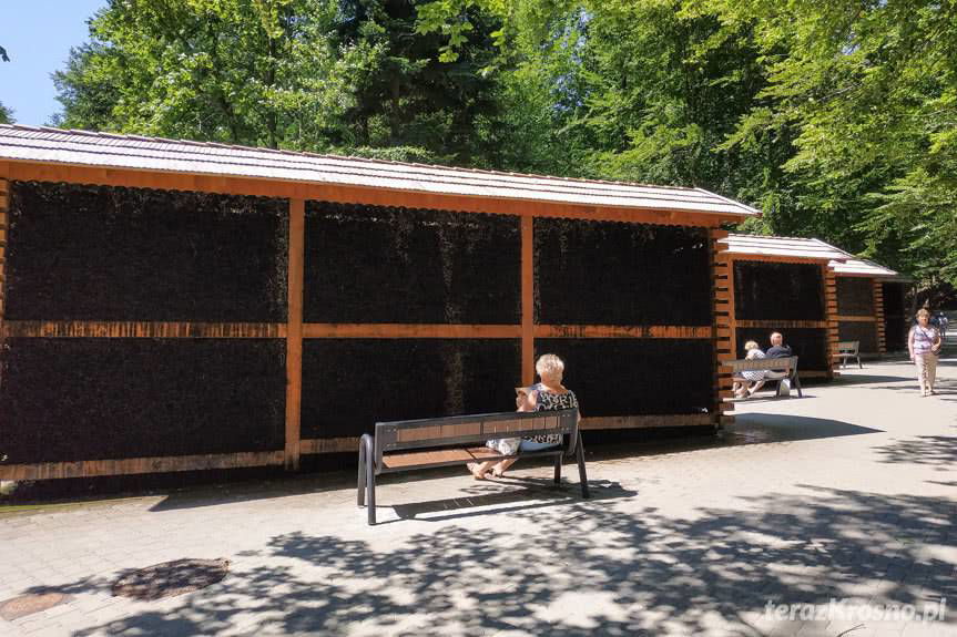 To historyczna chwila. Basen w Iwoniczu-Zdroju otwarty!