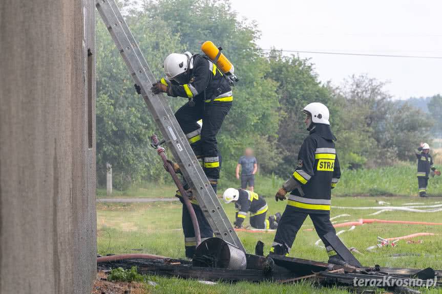 Pożar budynku gospodarczego w Odrzykoniu