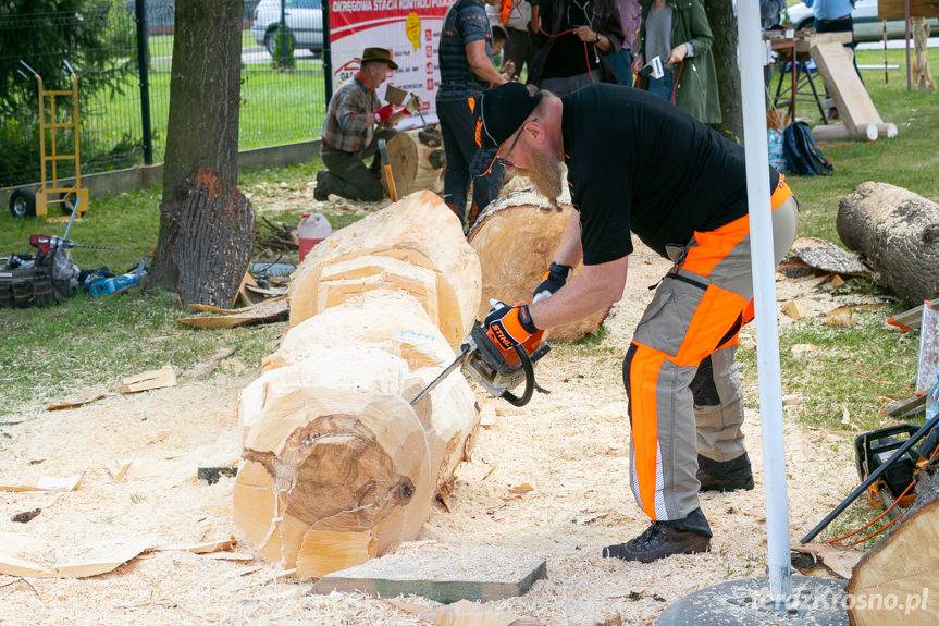I Plener rzeźbiarski w Krościenku Wyżnym [WIDEO]