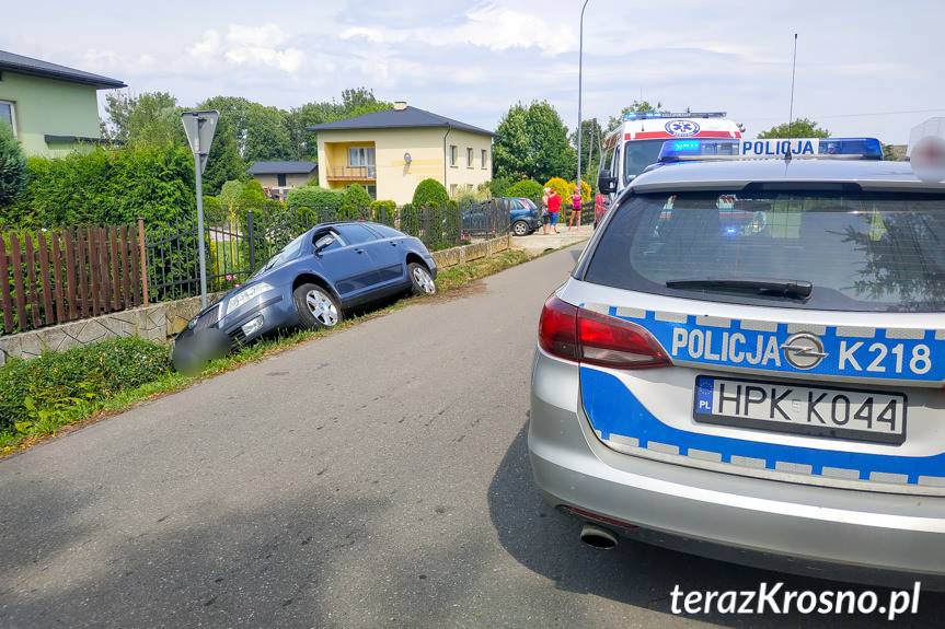 Wjechał skodą do rowu