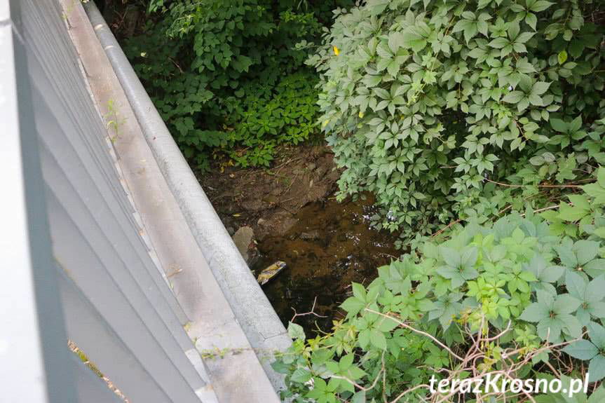 Mężczyzna skoczył z mostu w Iwoniczu-Zdroju