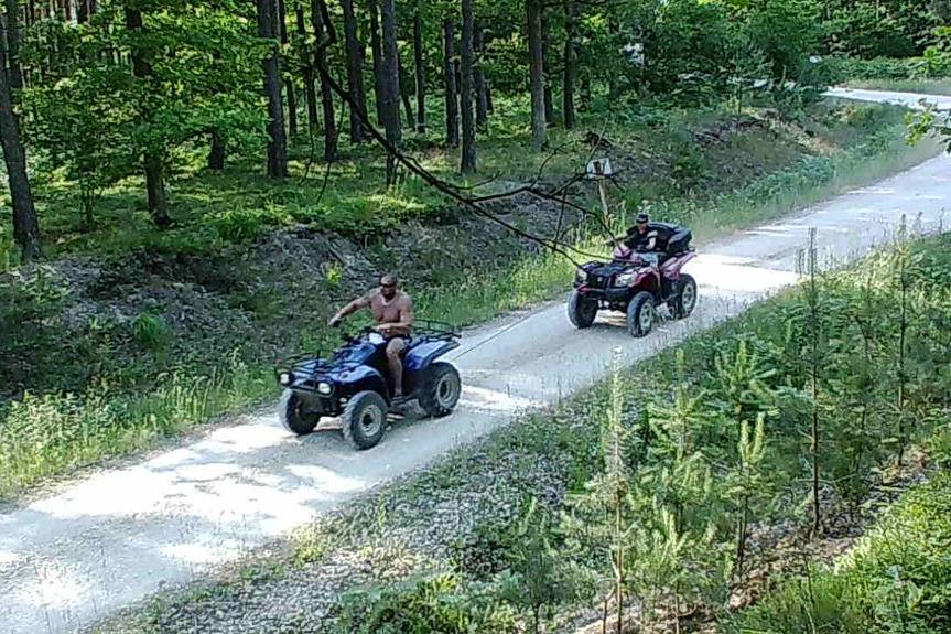 Wysokie mandaty za nielegalne wjazdy do lasu