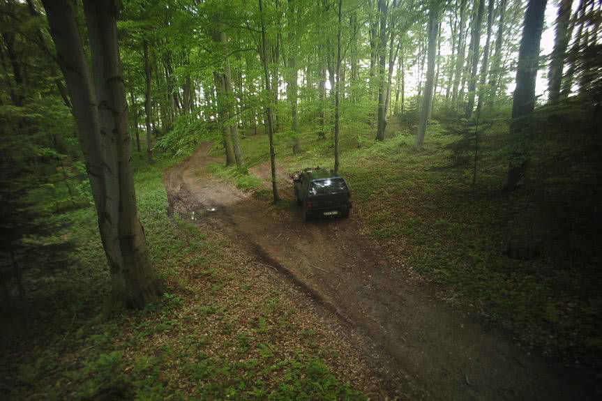 Wysokie mandaty za nielegalne wjazdy do lasu