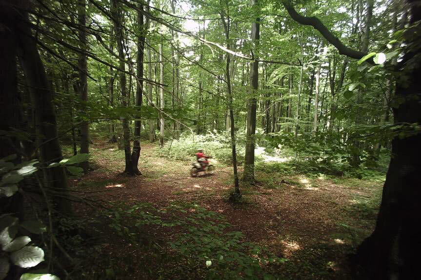 Wysokie mandaty za nielegalne wjazdy do lasu