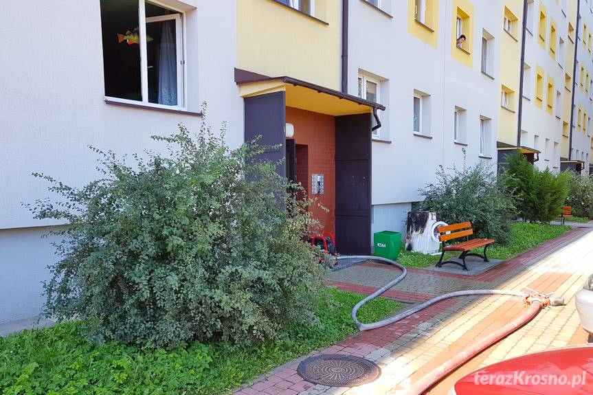 Pożar w bloku na Oficerskiej