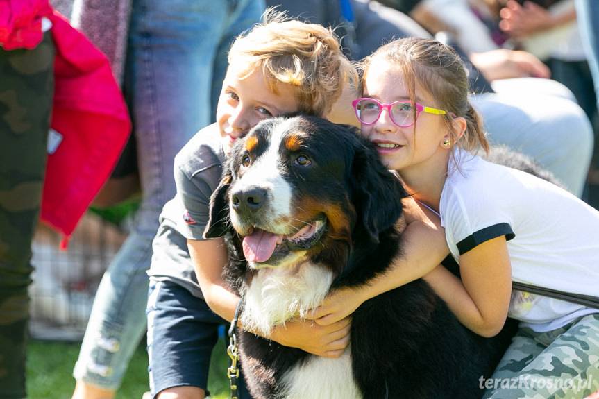 XXIX Podkarpacka Wystawa Psów Rasowych 