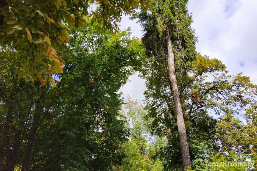 Utrudnienia w Ogródku Jordanowskim