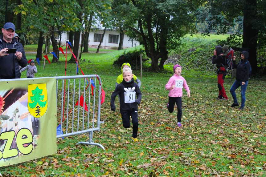 Jesiennie Biegi Niepodległościowe w Jedliczu