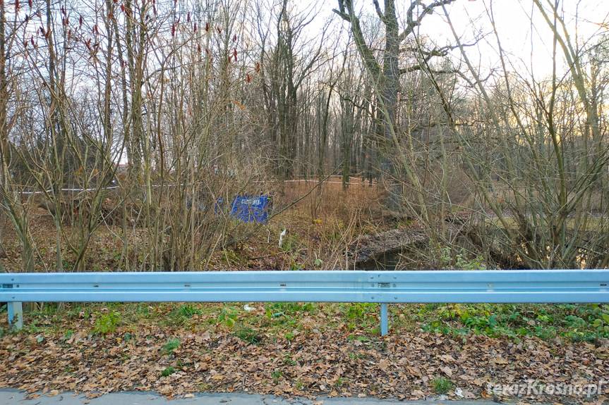 Tragiczny finał poszukiwań. Ciało mężczyzny w stawie