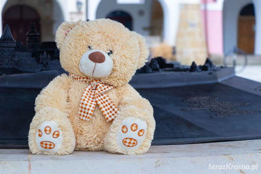 Misie Ratownisie dla dzieci, ofiar wypadków