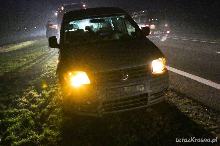 Zderzenie z dzikami w Iwoniczu