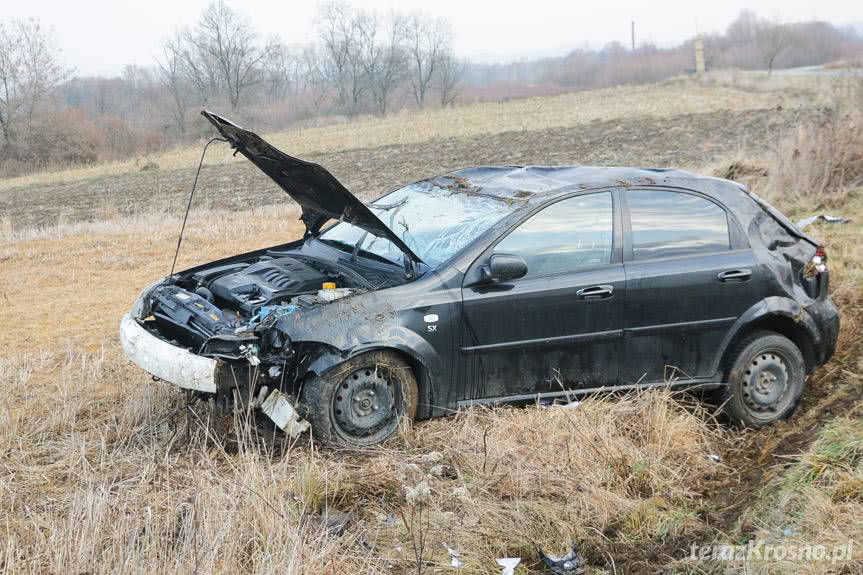 Dachowanie we Wróbliku Szlacheckim