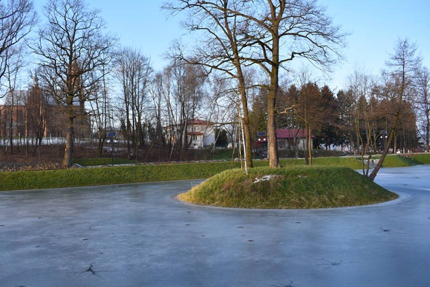 Rewitalizacja stawu w Ustrobnej