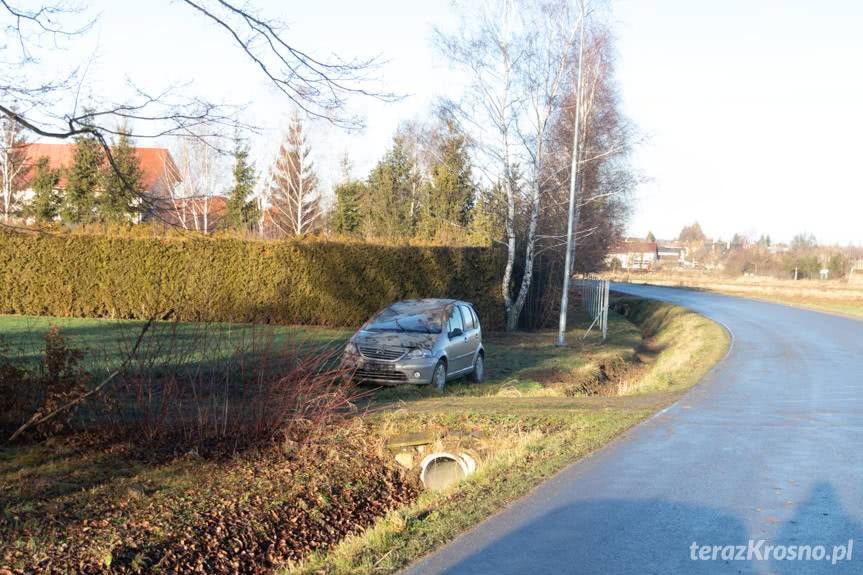 Dachowanie w Żarnowcu. Winna sarna
