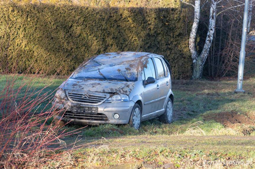 Dachowanie w Żarnowcu. Winna sarna