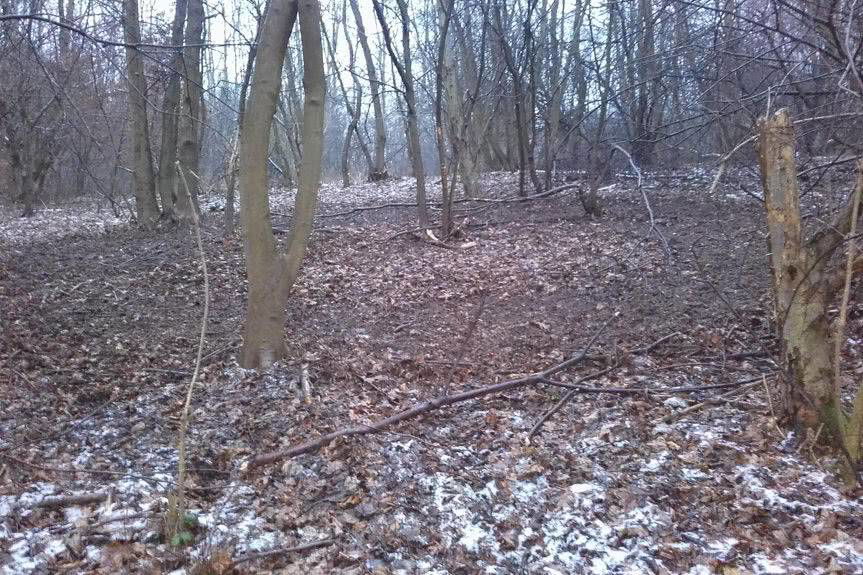 REGION. Wnykarz złapany, działał na dużą skalę