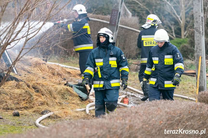 Druhowie z OSP chcą dodatku do emerytur