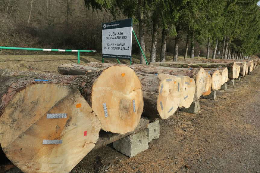 Submisja drewna Krosno 2020