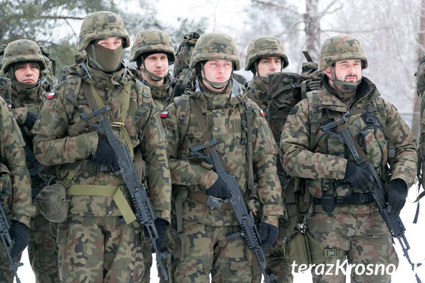 Terytorialsi w walce z koronawirusem