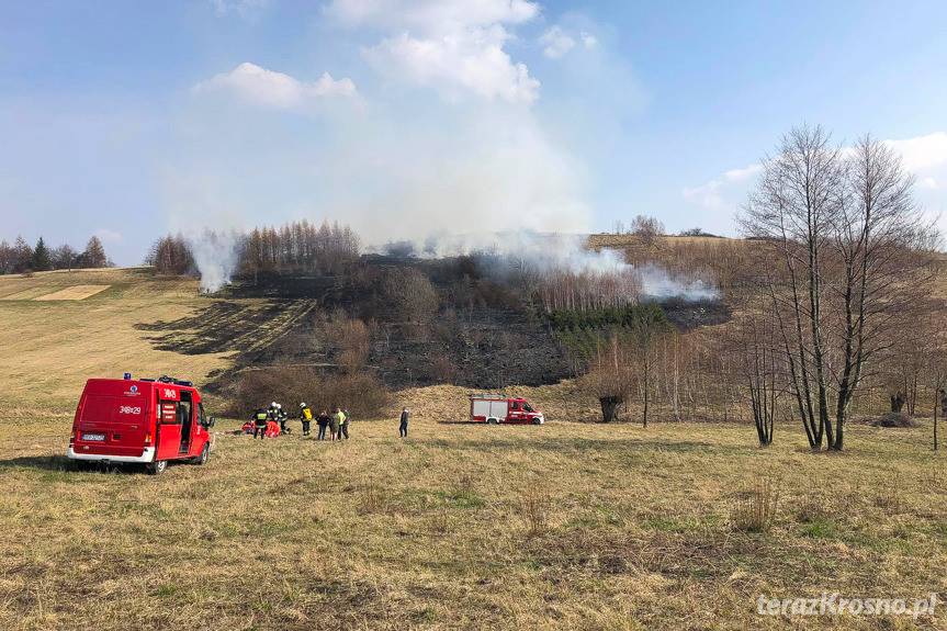 Wypadek w Łazach podczas wypalania traw