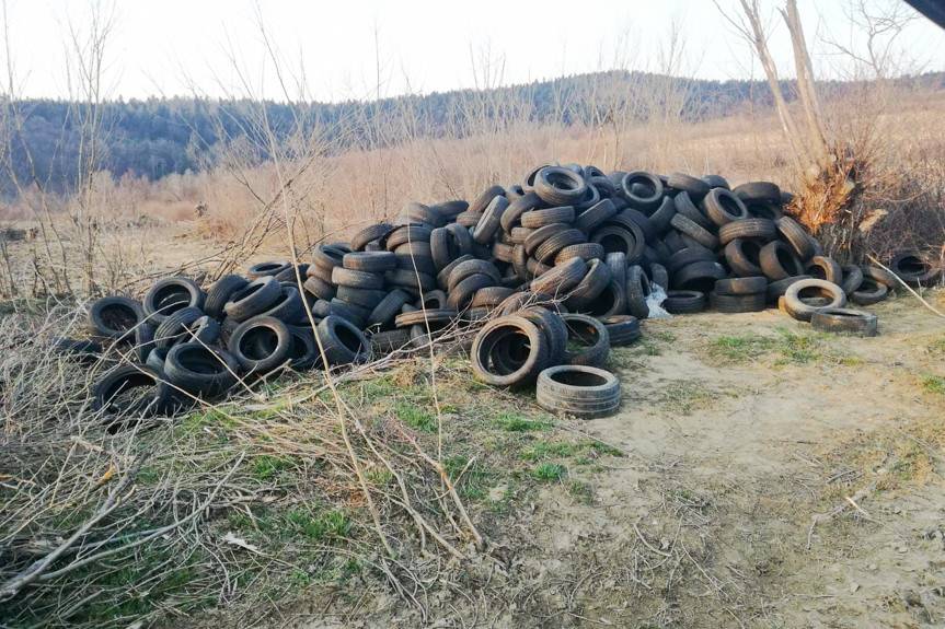 Dzikie składowisko opon w Cergowej