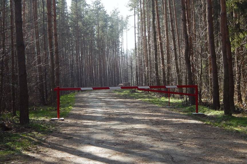 Nie pospacerujesz po lesie