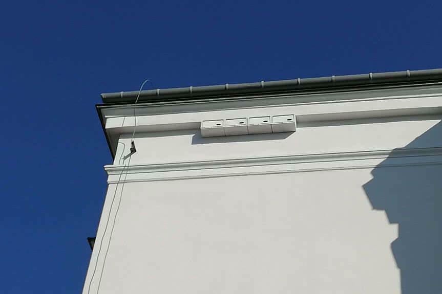 W walce z komarami pomogą jerzyki