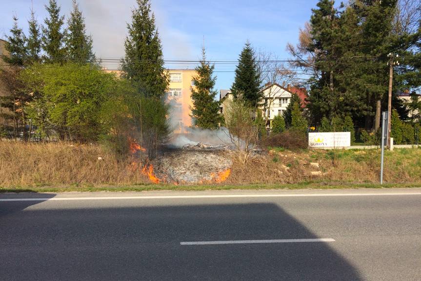 Pożar trawy na nasypie kolejowym