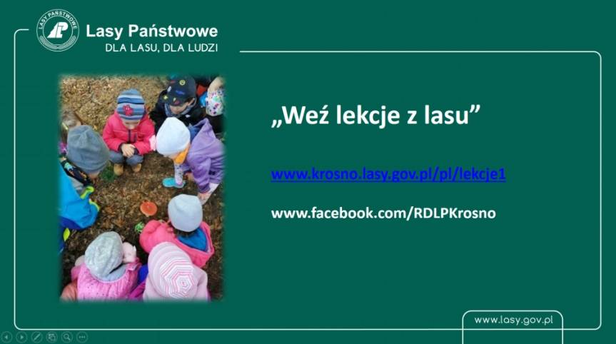 Leśnicy z Krosna proponują lekcje z lasu