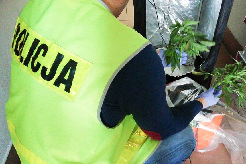 REGION. 27-latek odpowie za przestępstwa narkotykowe