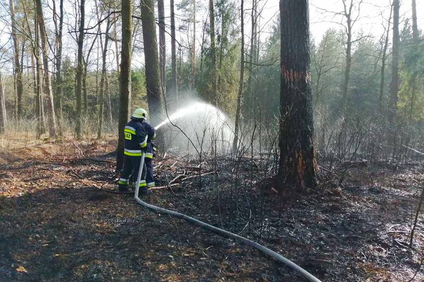 Lasy wciąż płoną