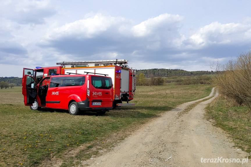Paralotniarz utknął na drzewie