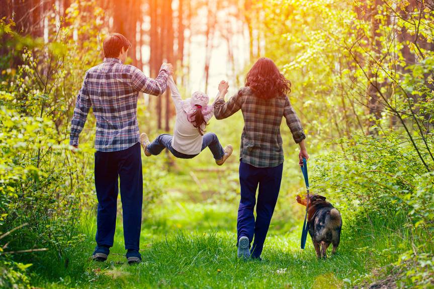 Przeczytaj przed wycieczką do lasu! Lasy otwarte z wyjątkami