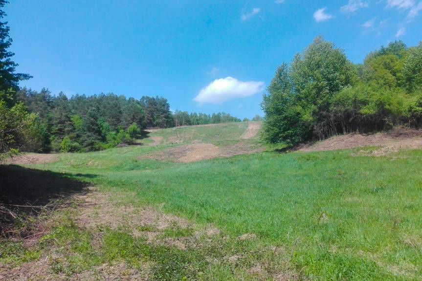 Niezwykłe odkrycie w okolicy Wojkówki