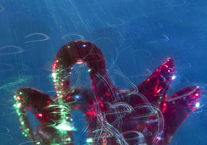 CDS zaprasza w ostatni weekend maja