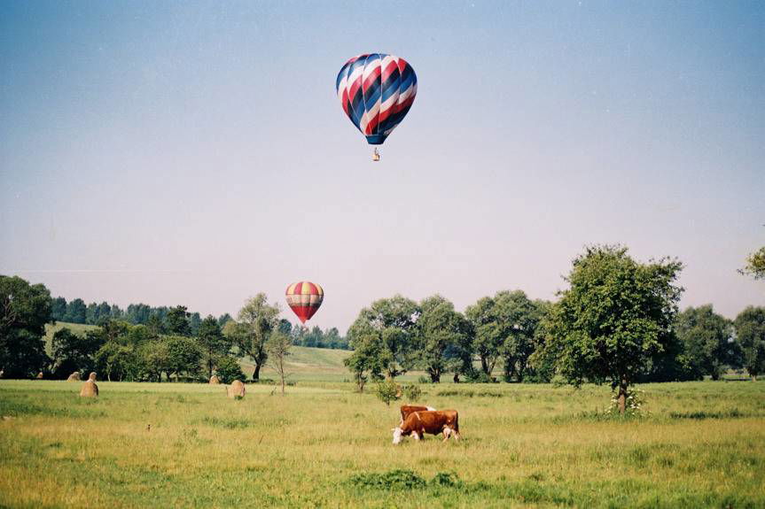 W Krośnie i powiecie krośnieńskim…